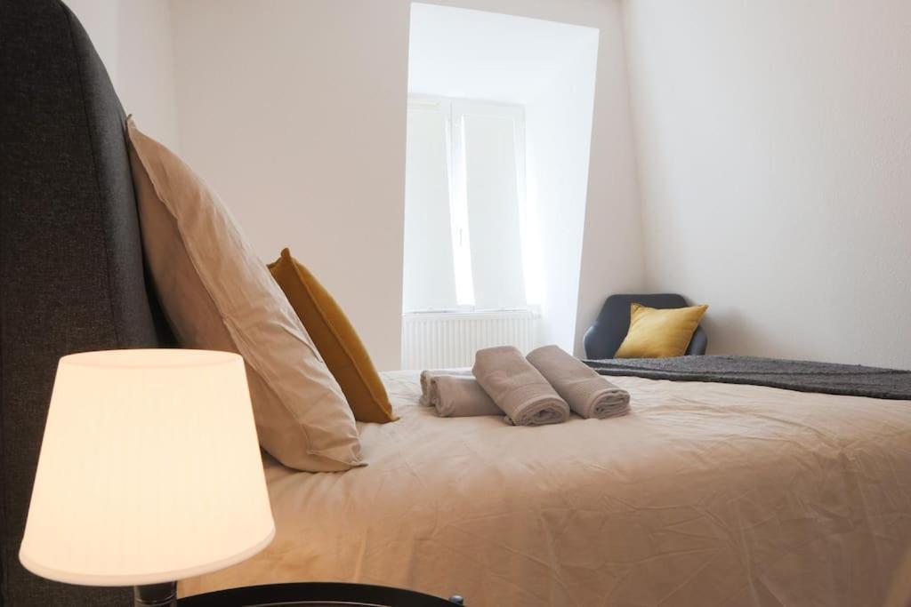 Le Contemporain, Hypercentre Apartment Mulhouse